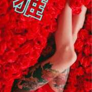 ヒメ日記 2025/11/24 05:40 投稿 雅 谷町人妻ゴールデン倶楽部