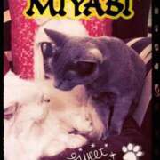 雅 御礼です 谷町人妻ゴールデン倶楽部