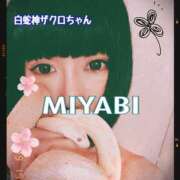 ヒメ日記 2025/12/20 04:00 投稿 雅 谷町人妻ゴールデン倶楽部