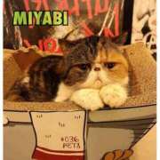 ヒメ日記 2026/03/18 05:40 投稿 雅 谷町人妻ゴールデン倶楽部