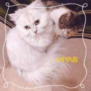 ヒメ日記 2026/04/02 05:40 投稿 雅 谷町人妻ゴールデン倶楽部