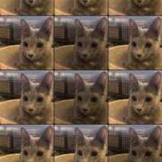 雅 御礼です 谷町人妻ゴールデン倶楽部