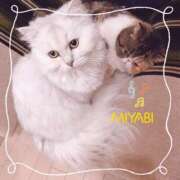 ヒメ日記 2026/04/14 05:40 投稿 雅 谷町人妻ゴールデン倶楽部