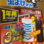 ヒメ日記 2024/05/16 21:10 投稿 あいり 谷町人妻ゴールデン倶楽部