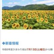 ヒメ日記 2024/07/05 21:20 投稿 あいり 谷町人妻ゴールデン倶楽部