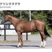 ヒメ日記 2025/05/07 09:50 投稿 あいり 谷町人妻ゴールデン倶楽部