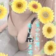 ヒメ日記 2025/07/01 13:20 投稿 あいり 谷町人妻ゴールデン倶楽部