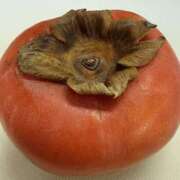 ヒメ日記 2025/12/21 19:10 投稿 あいり 谷町人妻ゴールデン倶楽部