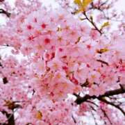 ヒメ日記 2026/03/10 18:35 投稿 あいり 谷町人妻ゴールデン倶楽部