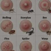 ヒメ日記 2026/03/11 19:55 投稿 あいり 谷町人妻ゴールデン倶楽部