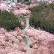 ヒメ日記 2026/04/14 10:55 投稿 あいり 谷町人妻ゴールデン倶楽部