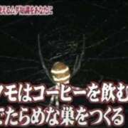 ヒメ日記 2026/05/27 14:45 投稿 あいり 谷町人妻ゴールデン倶楽部