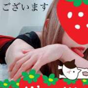 ヒメ日記 2026/06/16 08:35 投稿 あいり 谷町人妻ゴールデン倶楽部