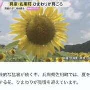 ヒメ日記 2026/08/02 12:55 投稿 あいり 谷町人妻ゴールデン倶楽部