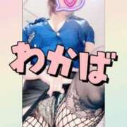 ヒメ日記 2024/12/17 17:20 投稿 わかば 谷町人妻ゴールデン倶楽部