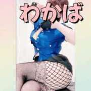 ヒメ日記 2025/03/22 16:00 投稿 わかば 谷町人妻ゴールデン倶楽部