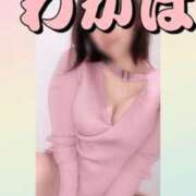 ヒメ日記 2025/04/16 09:05 投稿 わかば 谷町人妻ゴールデン倶楽部