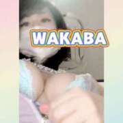 ヒメ日記 2025/04/19 10:20 投稿 わかば 谷町人妻ゴールデン倶楽部