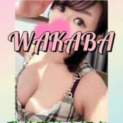 ヒメ日記 2025/04/24 09:50 投稿 わかば 谷町人妻ゴールデン倶楽部