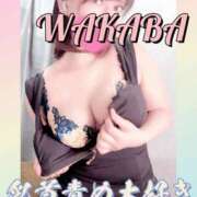 ヒメ日記 2025/04/25 10:25 投稿 わかば 谷町人妻ゴールデン倶楽部