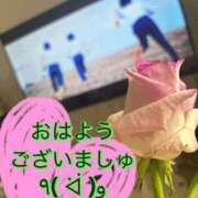 ヒメ日記 2025/05/26 08:50 投稿 わかば 谷町人妻ゴールデン倶楽部