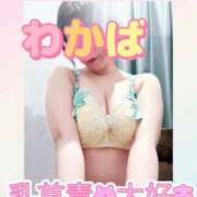 ヒメ日記 2025/06/25 12:45 投稿 わかば 谷町人妻ゴールデン倶楽部