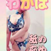 ヒメ日記 2025/06/27 11:50 投稿 わかば 谷町人妻ゴールデン倶楽部