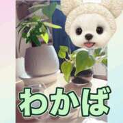 ヒメ日記 2025/07/29 09:00 投稿 わかば 谷町人妻ゴールデン倶楽部