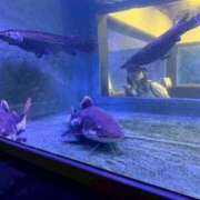 ヒメ日記 2025/08/19 23:15 投稿 わかば 谷町人妻ゴールデン倶楽部