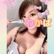 ヒメ日記 2025/09/17 15:50 投稿 わかば 谷町人妻ゴールデン倶楽部