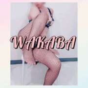 ヒメ日記 2025/09/27 11:35 投稿 わかば 谷町人妻ゴールデン倶楽部