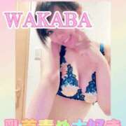 ヒメ日記 2025/09/27 12:35 投稿 わかば 谷町人妻ゴールデン倶楽部