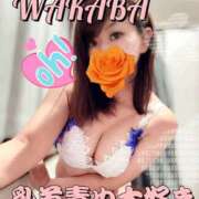 ヒメ日記 2025/10/07 11:25 投稿 わかば 谷町人妻ゴールデン倶楽部