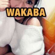 ヒメ日記 2025/11/28 17:45 投稿 わかば 谷町人妻ゴールデン倶楽部