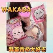 ヒメ日記 2025/12/23 08:50 投稿 わかば 谷町人妻ゴールデン倶楽部