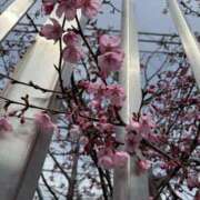 ヒメ日記 2026/03/28 11:30 投稿 わかば 谷町人妻ゴールデン倶楽部