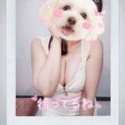 ヒメ日記 2026/04/15 18:20 投稿 わかば 谷町人妻ゴールデン倶楽部