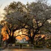 わかば ウォーキングで見つけたよ 谷町人妻ゴールデン倶楽部