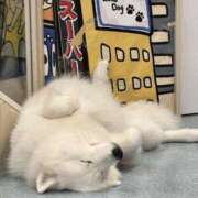 ヒメ日記 2026/07/19 01:15 投稿 わかば 谷町人妻ゴールデン倶楽部