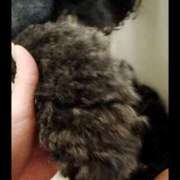 ヒメ日記 2025/08/01 10:15 投稿 ヒトミ 谷町人妻ゴールデン倶楽部