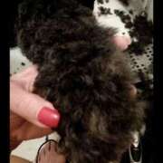 ヒメ日記 2025/09/04 04:55 投稿 ヒトミ 谷町人妻ゴールデン倶楽部