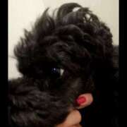 ヒメ日記 2025/09/26 07:25 投稿 ヒトミ 谷町人妻ゴールデン倶楽部