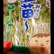 ヒメ日記 2025/10/20 04:55 投稿 ヒトミ 谷町人妻ゴールデン倶楽部