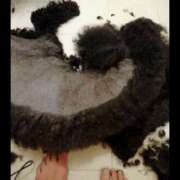 ヒメ日記 2025/11/13 08:45 投稿 ヒトミ 谷町人妻ゴールデン倶楽部