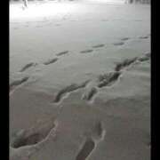 ヒメ日記 2025/12/04 17:30 投稿 ヒトミ 谷町人妻ゴールデン倶楽部