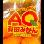 ヒメ日記 2026/01/07 05:35 投稿 ヒトミ 谷町人妻ゴールデン倶楽部