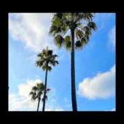 ヒメ日記 2026/03/09 05:40 投稿 ヒトミ 谷町人妻ゴールデン倶楽部