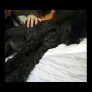 ヒメ日記 2026/03/10 22:10 投稿 ヒトミ 谷町人妻ゴールデン倶楽部