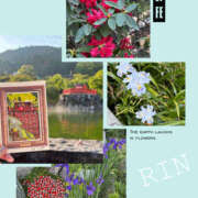 ヒメ日記 2025/05/14 12:30 投稿 りん 谷町人妻ゴールデン倶楽部