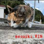 ヒメ日記 2025/06/28 12:15 投稿 りん 谷町人妻ゴールデン倶楽部